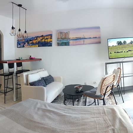 Estudio Centro Malaga Terraza Y Barbacoa 외부 사진